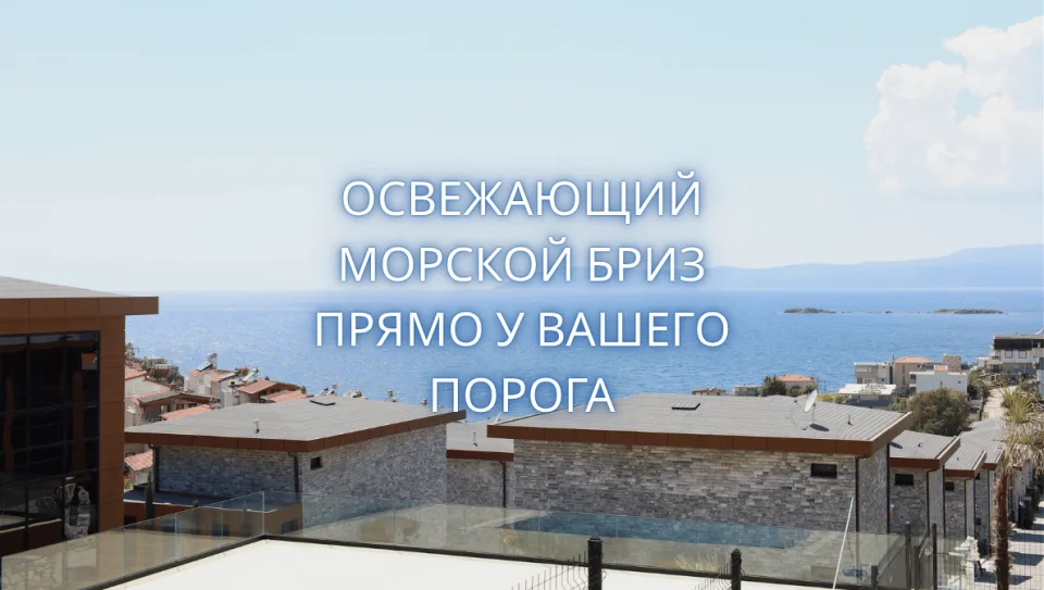 portfolio-image
